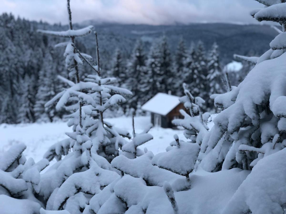 Hotel Chaume De Balveurche Xonrupt-Longemer Esterno foto