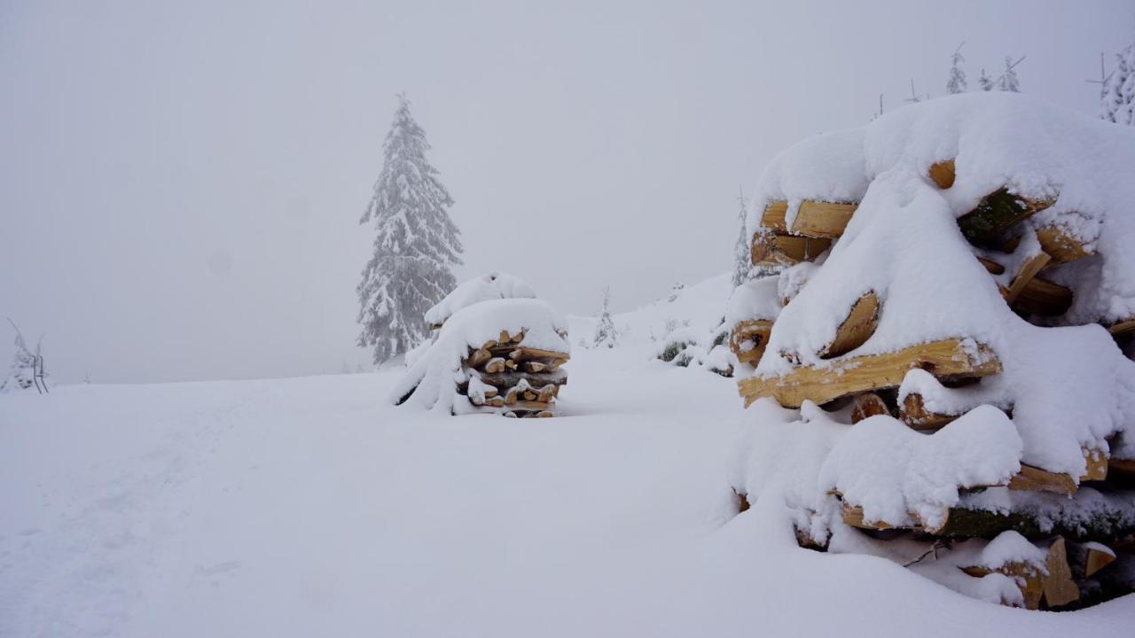 Hotel Chaume De Balveurche Xonrupt-Longemer Esterno foto